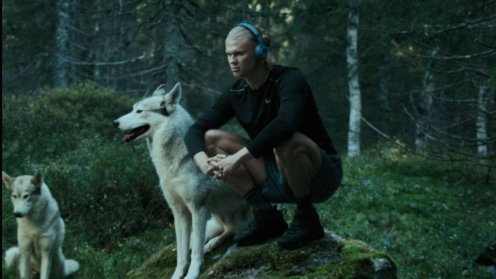 他的全面表 他的全面表