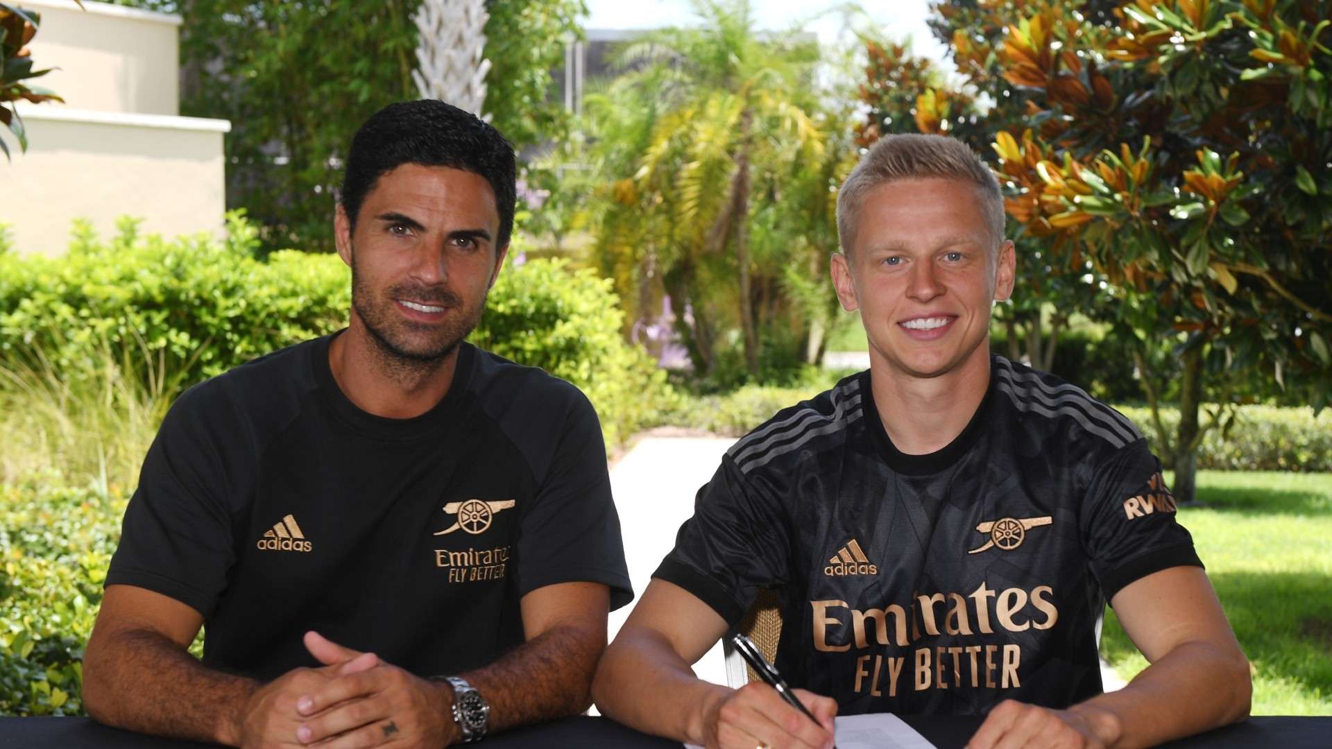 我们将全面 我们将全面