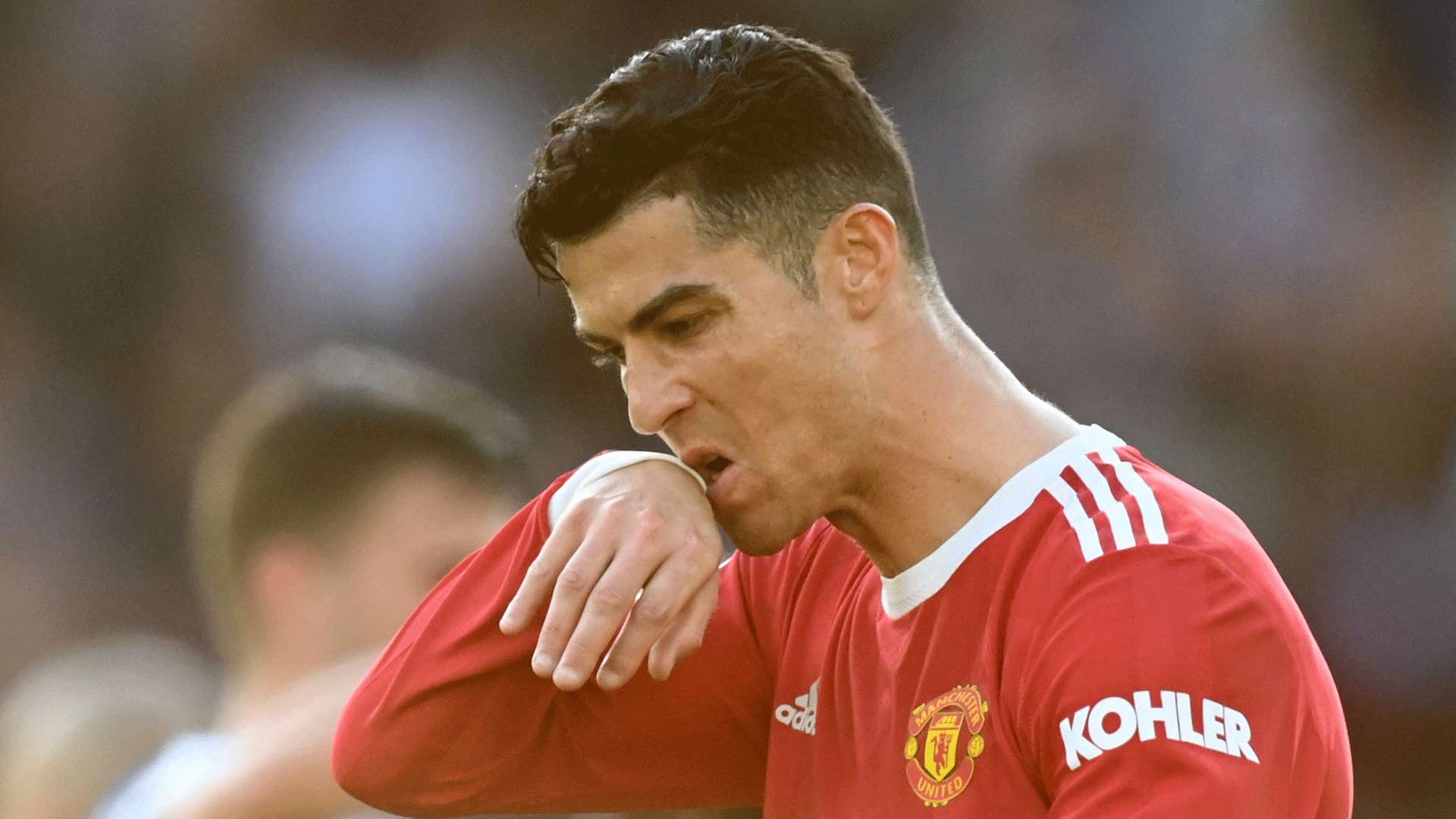 但也未尝不 但也未尝不